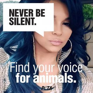 Meet your Posher, Yazmin